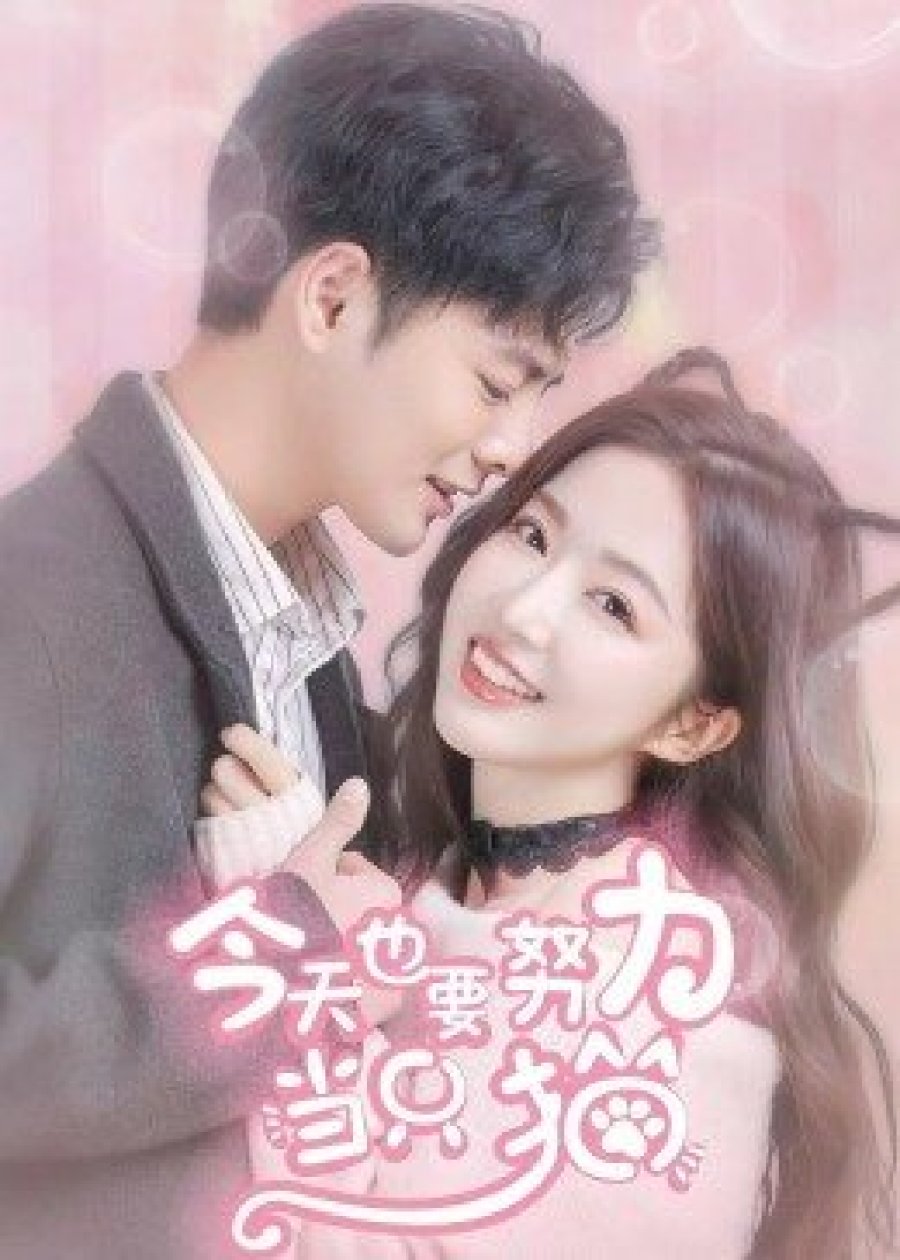 My-cat <b>love</b> EP1 今 天 也 要 努 力 当 只 猫 2 Chinese - Thai <b>Drama</b> TV.